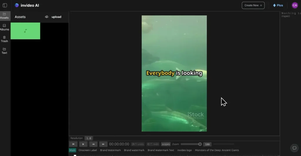 InVideo AI multi-platform export showing YouTube, TikTok, and Instagram format options